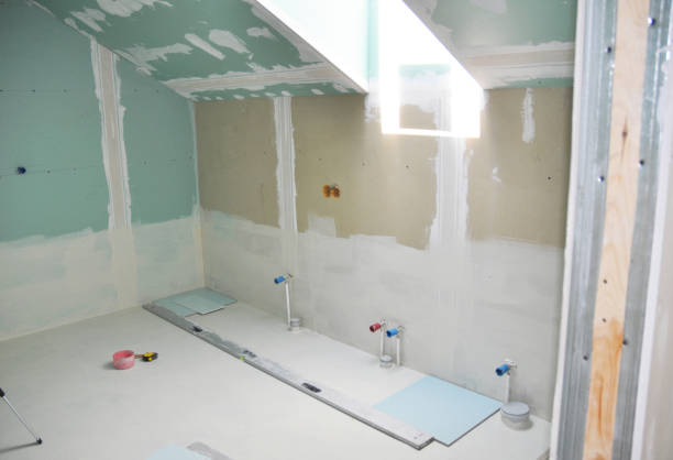 Best Environmental Consulting for Mold Prevention  in Frederick, CO