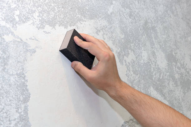 Mold Remediation for Vacation Homes in Frederick, CO