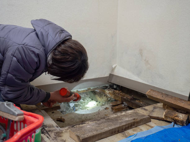 Best Residential Mold Inspection & Testing  in Frederick, CO