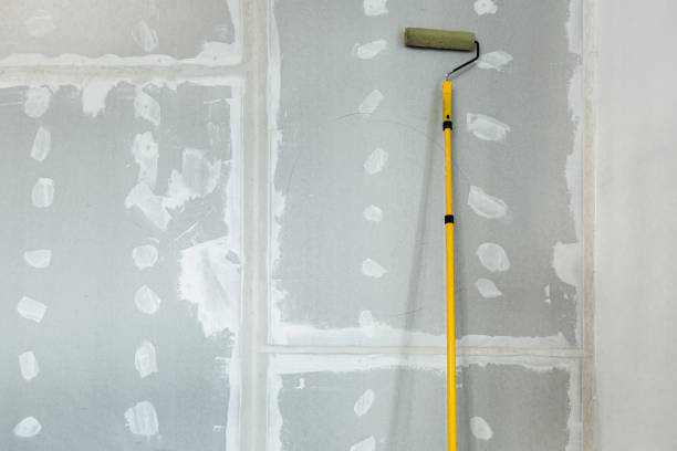 Best Forensic Mold Investigation  in Frederick, CO