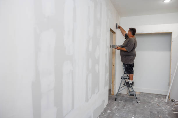 Best Dehumidification Services  in Frederick, CO