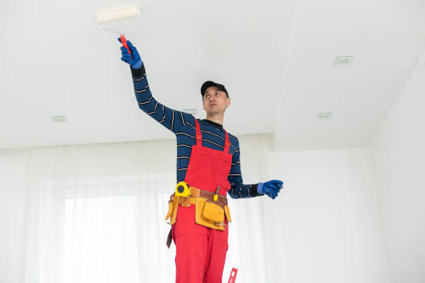 Best Basement Mold Removal  in Frederick, CO