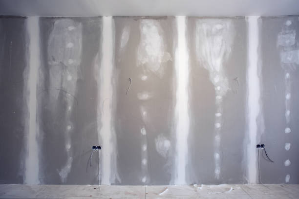 Best Mold-Related Health Consultation  in Frederick, CO