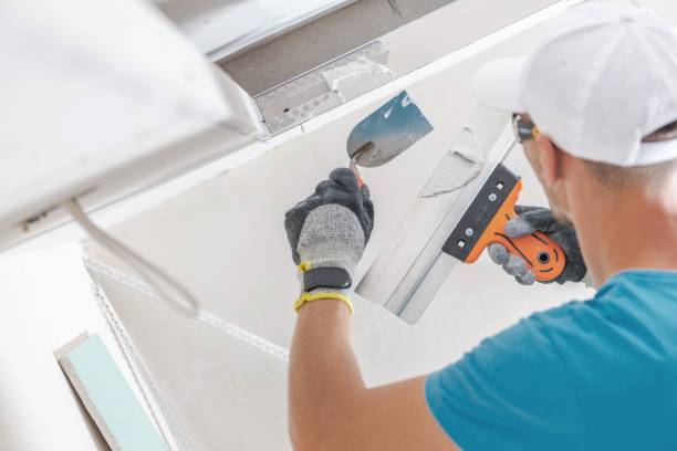 Best Post-Construction Mold Inspection  in Frederick, CO